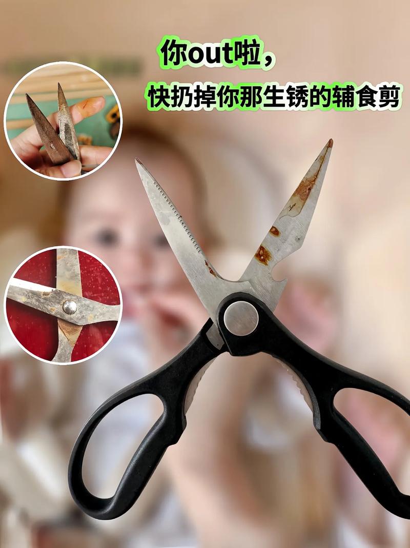 辅食剪:千万别用厨房剪刀凑合