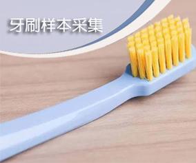 偷偷采集牙刷样本做亲子鉴定的桌面场景