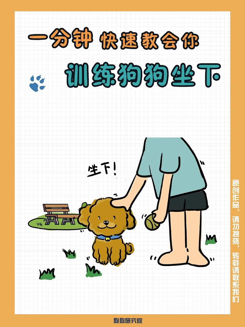 训练师用零食奖励金毛幼犬坐下动作