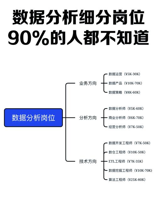 2024年国内教育系统数据分析师岗位需求表