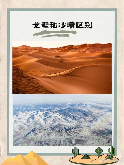高原、海滨、沙漠,气候不同怎么破