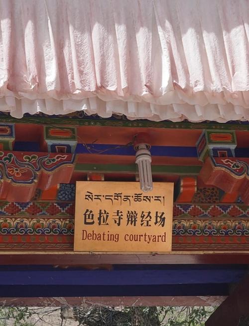 色拉寺后山,有个“辩经场”的野路子——从侧门进,免费看辩经