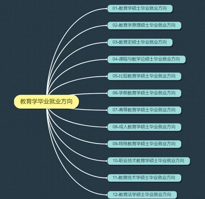 2024教育行业应届毕业生择业方向思维导图