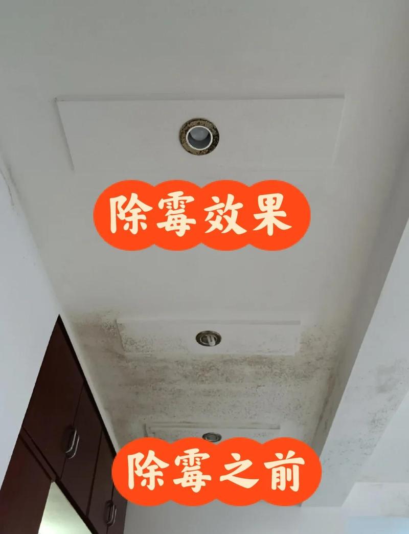 装修时没装除湿机？等墙体发霉你就哭了！10个血泪问答