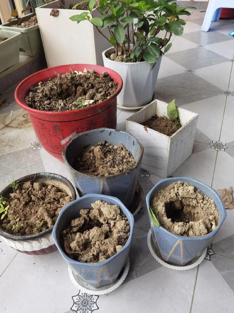 阳台角落堆放发霉的旧花土