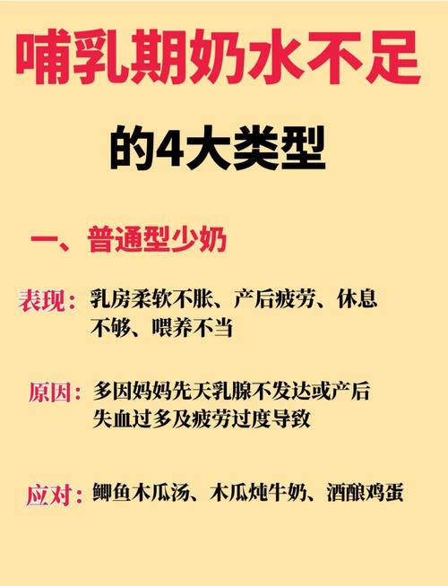 母乳捐赠安全吗？揭秘背后的严谨流程