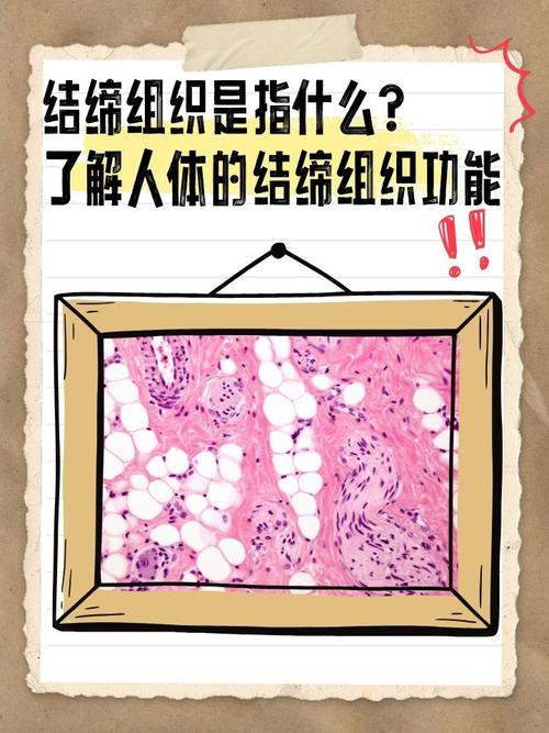 根本症结在哪？