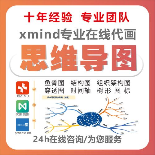 内容平台排名波动应对逻辑流程图