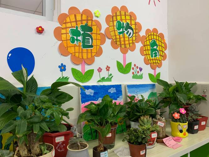 小学班级植物角手绘改造设计图