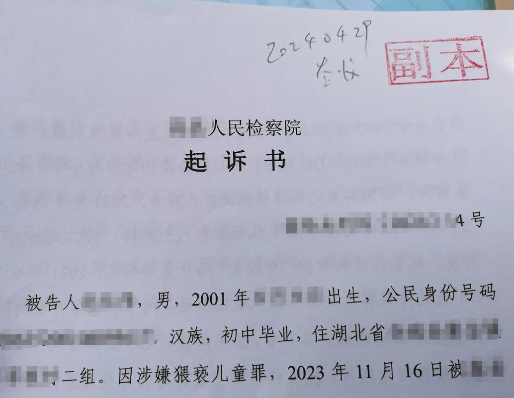 真被起诉了，硬着头皮上