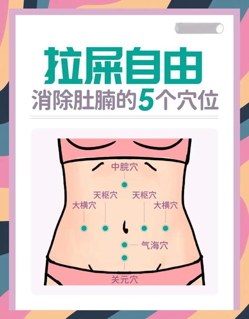 宠物便秘腹部触诊位置示意图