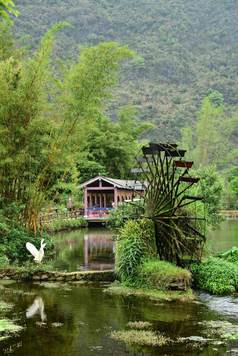 靖西鹅泉碧绿水面