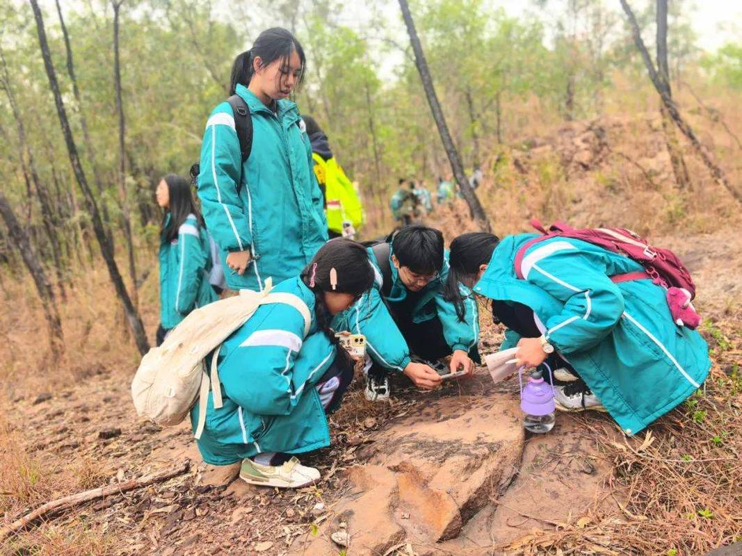 地质研学中小学生蹲在山脚翻找石头场景