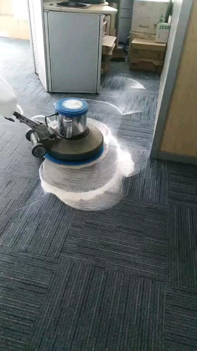 硬毛刷松尘清洁地毯操作图