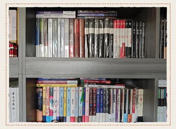 居家书架上摆开的平装推理小说集