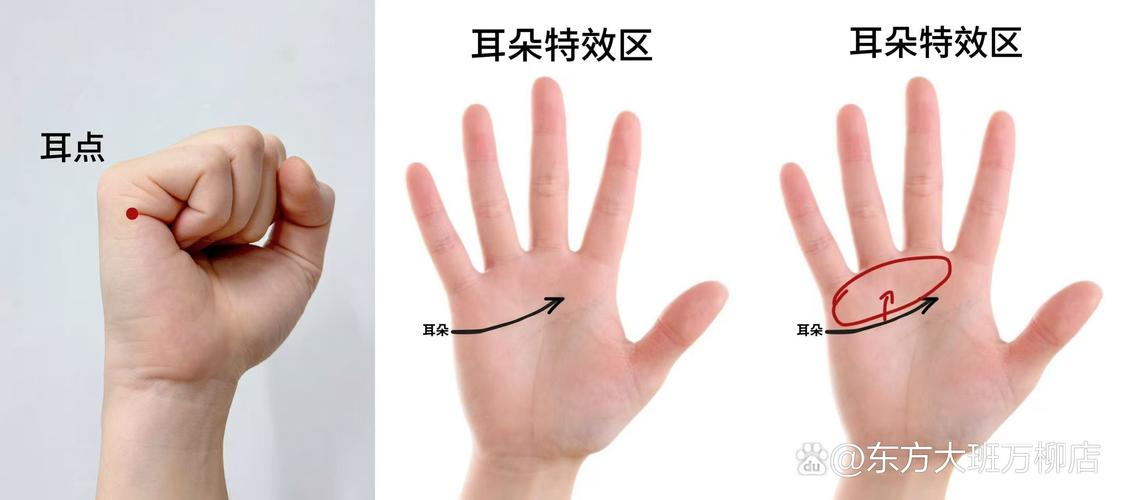 耳朵就是尺,怎么分辨好坏?