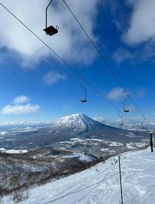 日本北海道二世谷滑雪场深粉雪树林滑行