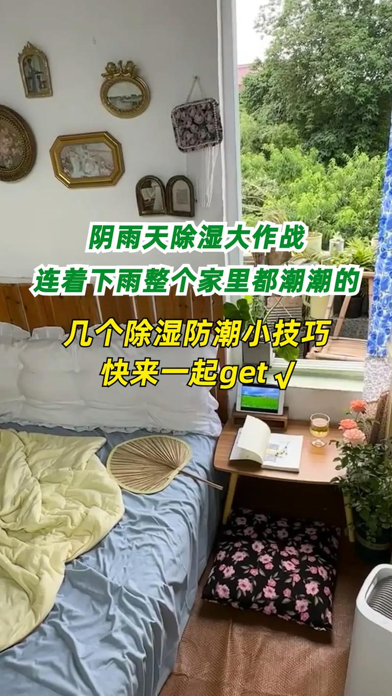 连着下雨没太阳？试试这些补救方法