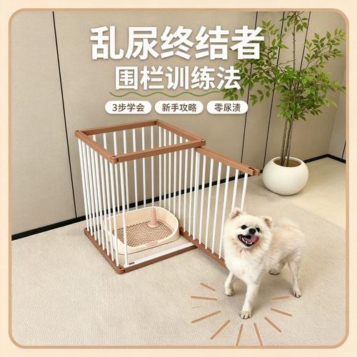 幼犬定点排便分区围栏布置示例