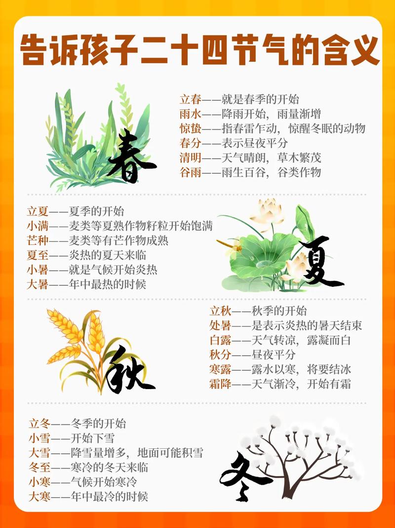 节气是什么？先搞懂这个，后面全是送分题