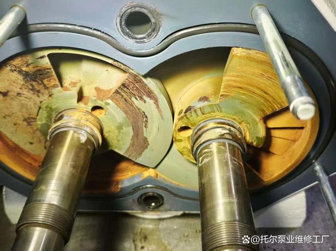 现场案例：一台真空泵的伪轴承故障