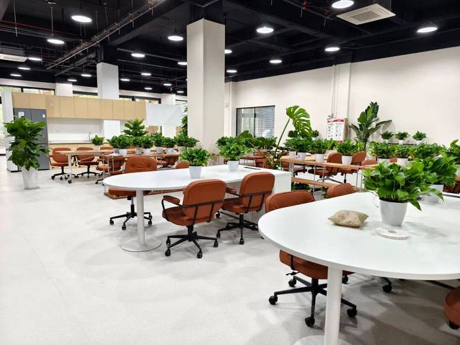 学校创业孵化器空荡的工位真实场景