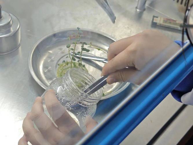 从课堂到菜园的破壁实验:一所学校的‘硬核’尝试