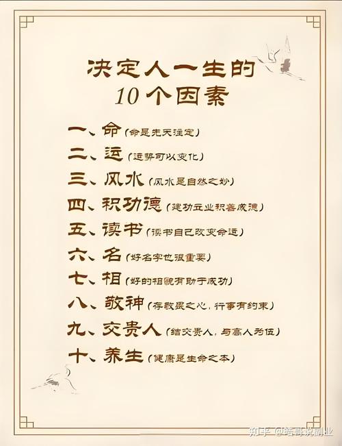 被中台改变的普通人命运