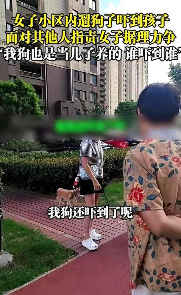 居民楼下遛狗双方争执沟通现场