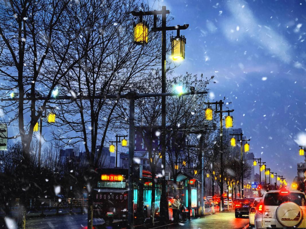 冬季夜景路灯下飘落的雪花氛围摄影