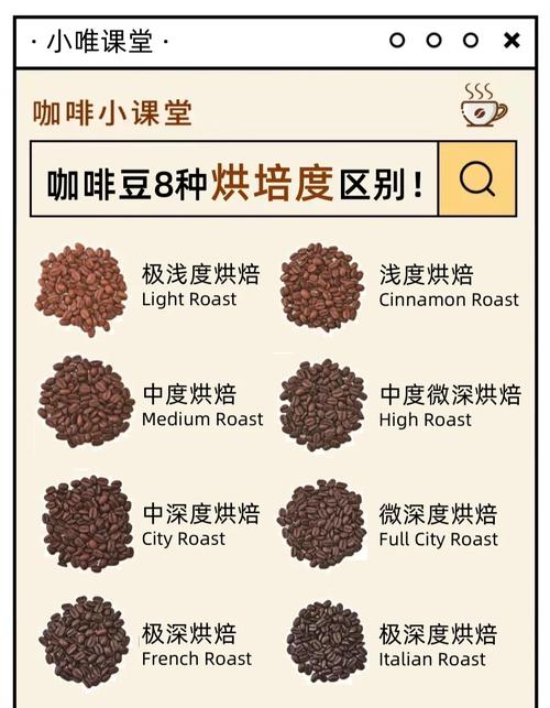 不同烘焙程度咖啡豆颜色对比图