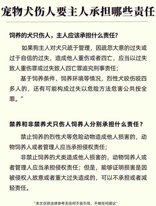 2020-2024宠物伤人判决责任比例统计图
