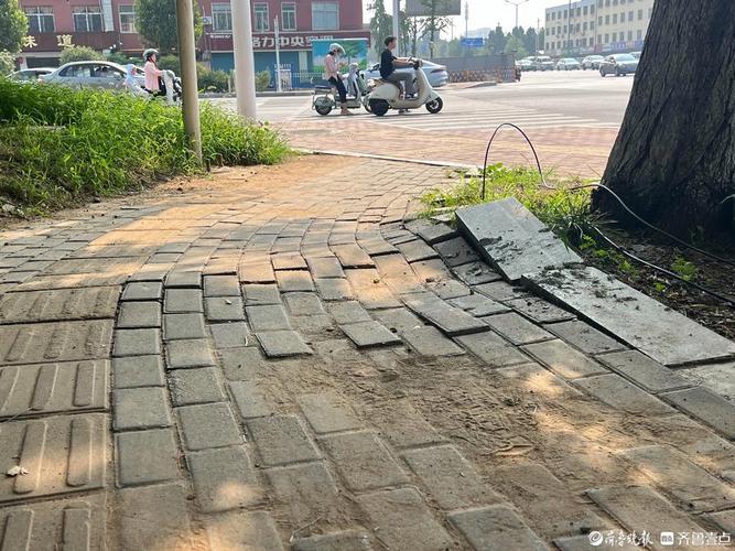 城市人行道地砖被树根顶起破裂的特写镜头