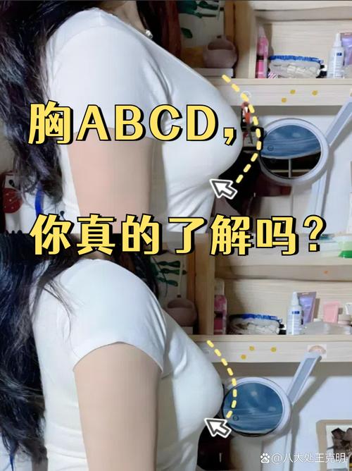 到底选哪个,对着看就懂