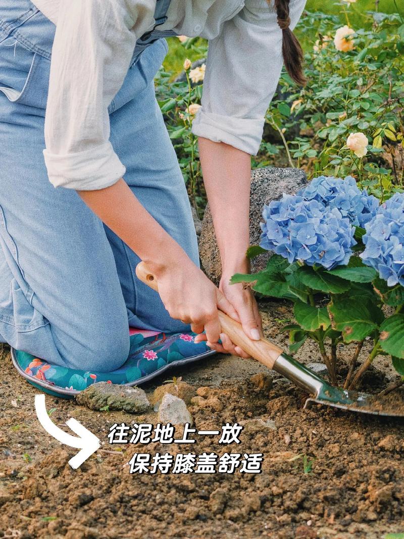 园艺跪垫和防潮收纳盒实拍