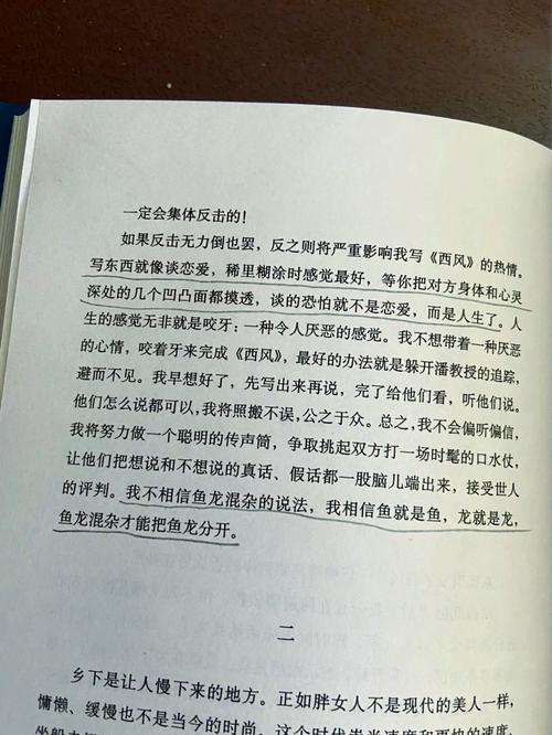 风声停的时候我在想什么