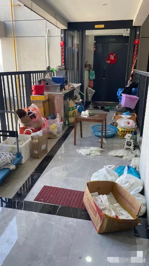 普通家庭玄关堆满快递盒和猫砂盆的日常场景