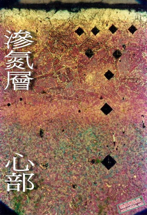 42CrMo渗氮层脉状氮化物金相图