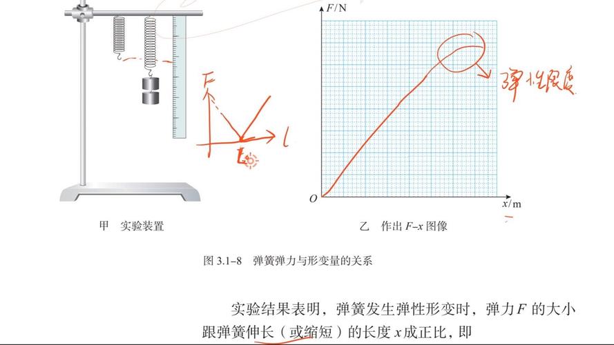 胡克定律实验装置弹簧形变示意图