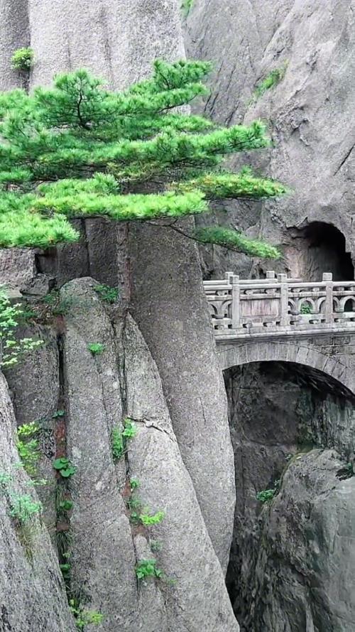 西海大峡谷步仙桥