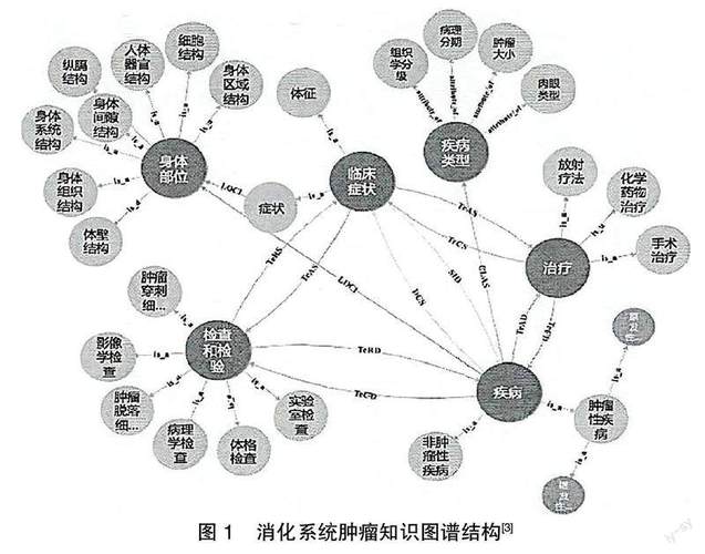 大众医疗知识图谱实体关系连接示意图