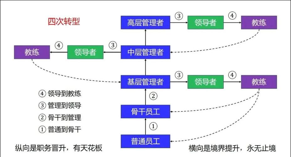 领导者作为团队教练示意图