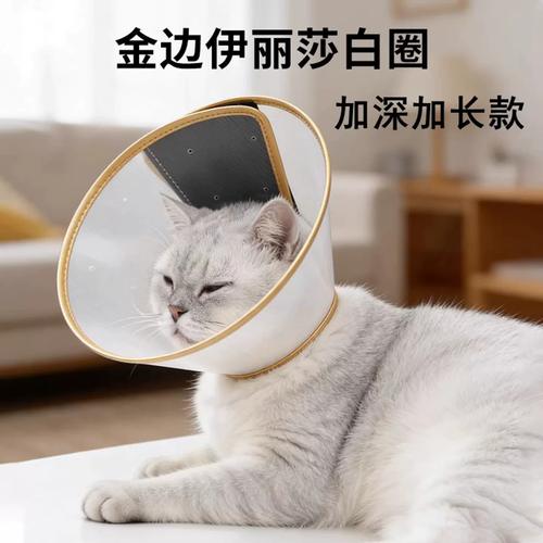 猫咪舔舐爪子上消毒残留示意图