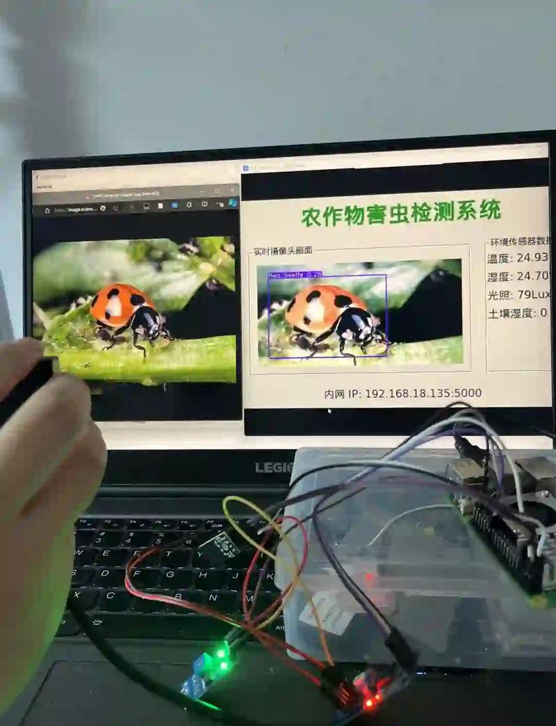 手机AI识别农作物病虫害操作界面实拍