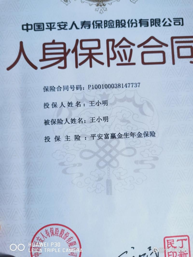 纸质保险合同成立日期标注示例