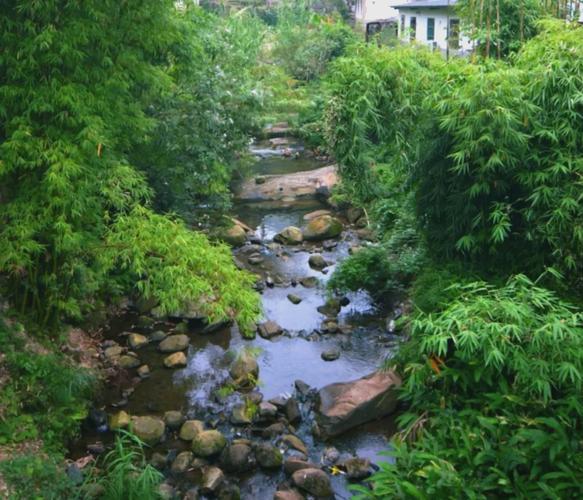 湖北南漳龙王冲村龙王泉古泉景观