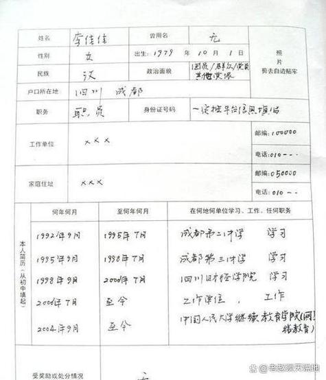 填了半年表，我没看见“综合”在哪