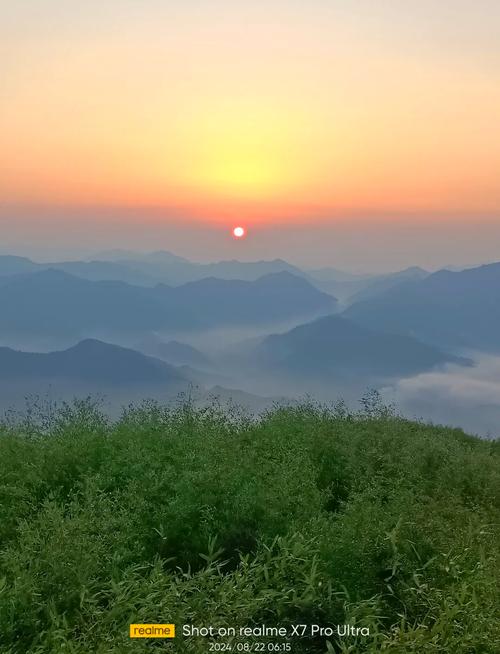 湖北南漳云台山山顶茶园云海日出