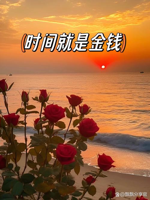 别迷信‘金九银十’,节奏比时间更重要