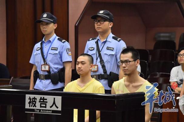 毒品犯罪刑事案件侦查阶段律师会见流程图